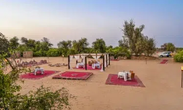 Premium Desert Safari
